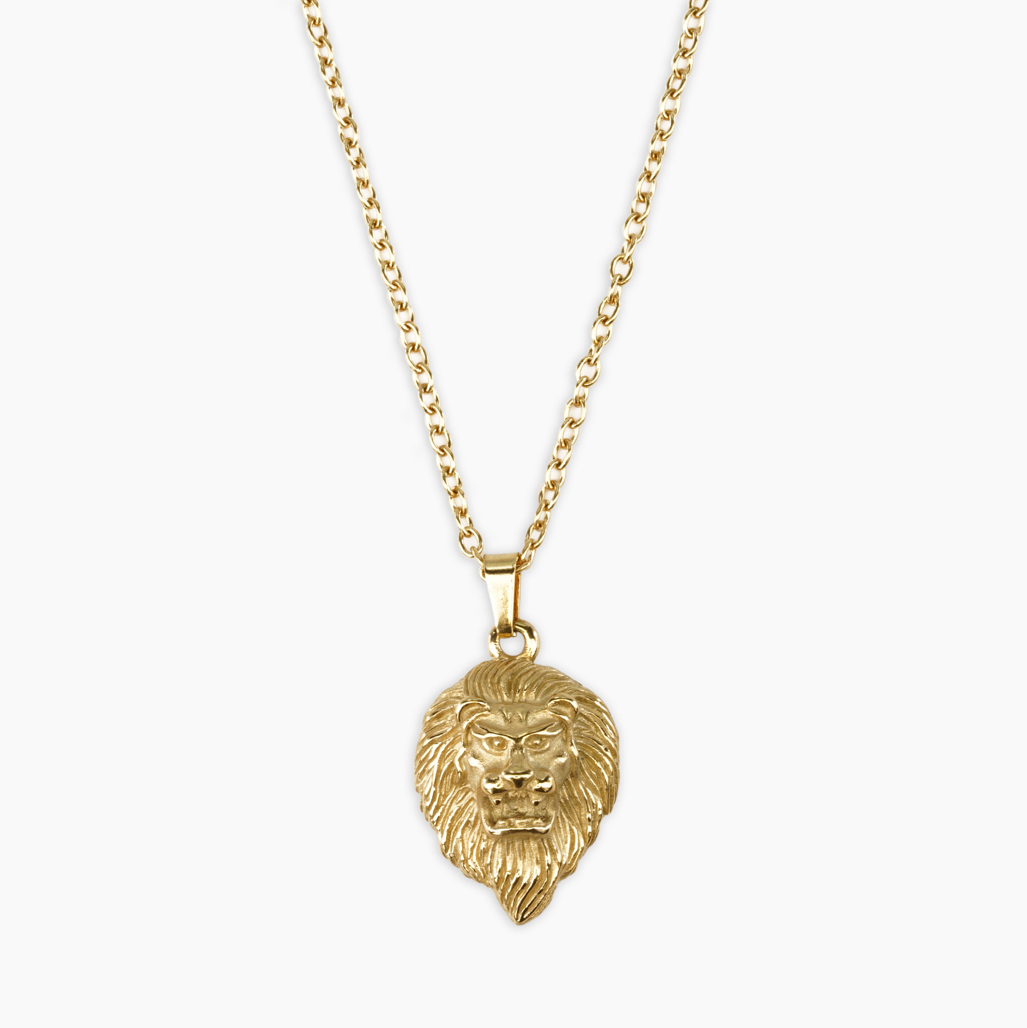 Gold lion store necklace